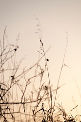 Similar image 7963574