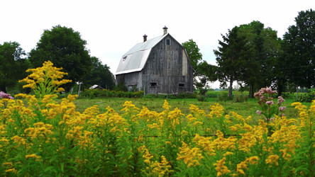 Similar image 7963575