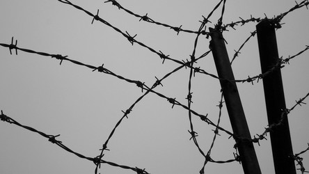 Similar image 7963576