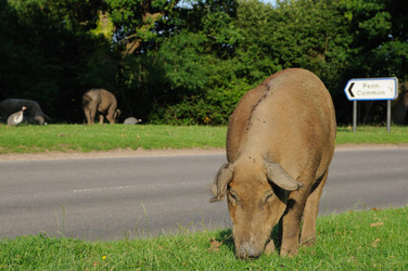 Similar image 7963577