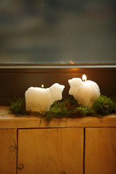 Similar image 7963581