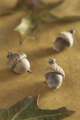 Similar image 7963592