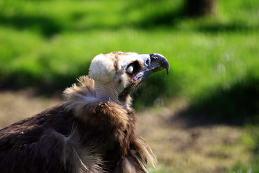 Similar image 7963594