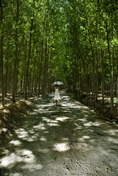 Similar image 7963600