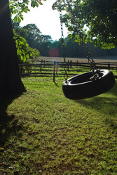 Similar image 7963606