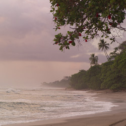 Similar image 7963607