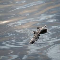 Similar image 7963621