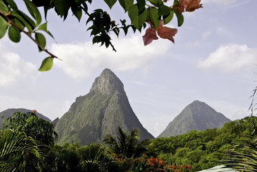 Similar image 7963636