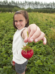 Similar image 7963638