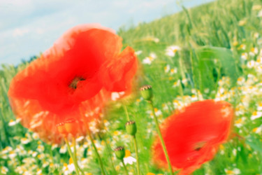 Similar image 7963643