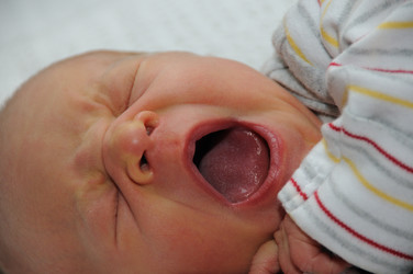 Similar image 7963648