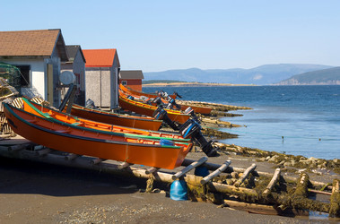 Similar image 7963653