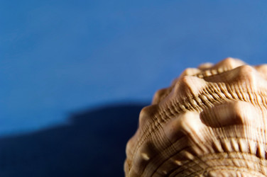 Similar image 7963657