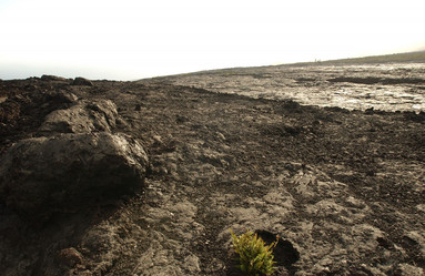 Similar image 7963666