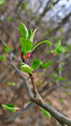 Similar image 7963670