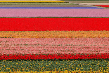 Similar image 7963675