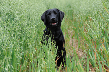 Similar image 7963685