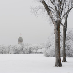 Similar image 7963691