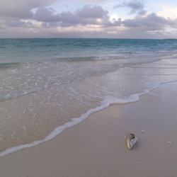 Similar image 7963697