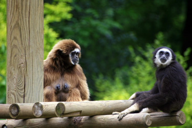 Similar image 7963699