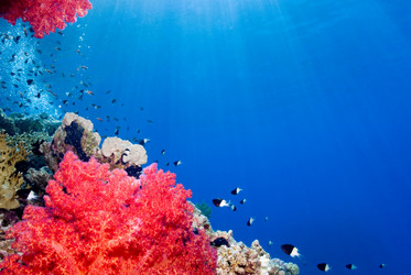 Similar image 7963713