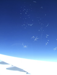 Similar image 7963722