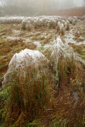 Similar image 7963725