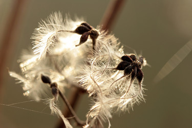 Similar image 7963726