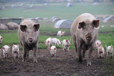 Similar image 7963731