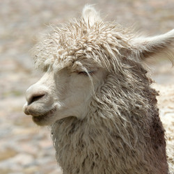 Similar image 7963744