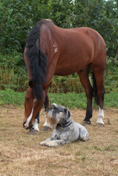 Similar image 7963748