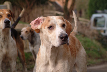 Similar image 7963750