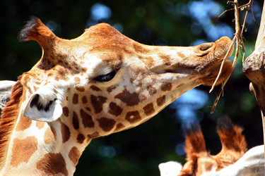 Similar image 7963761