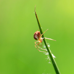 Similar image 7963765