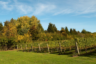 Similar image 7963766