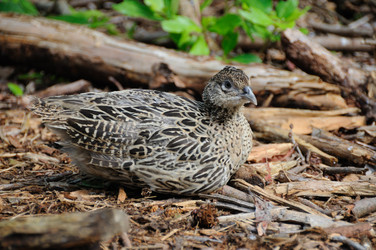 Similar image 7963768