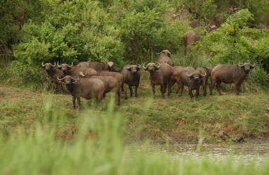 Similar image 7963776