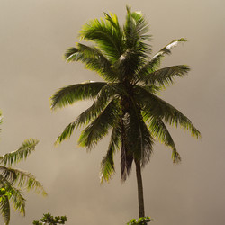 Similar image 7963780