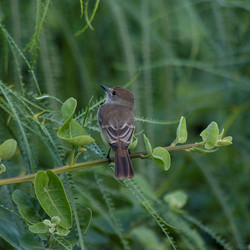 Similar image 7963785