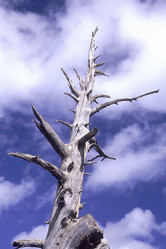 Similar image 7963795