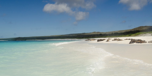 Similar image 7963801