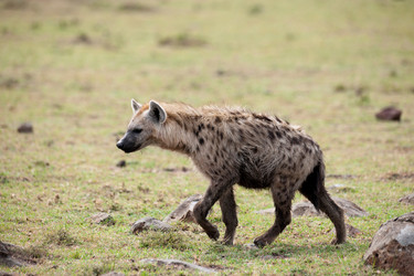 Similar image 7963803