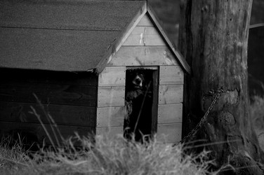 Similar image 7963809