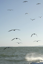 Similar image 7963811