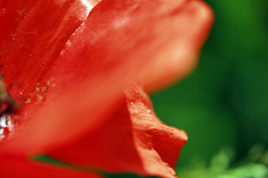 Similar image 7963826