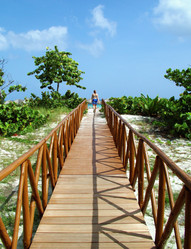 Similar image 7963829