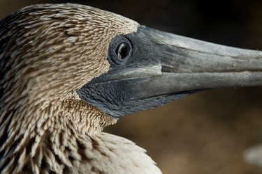 Similar image 7963833