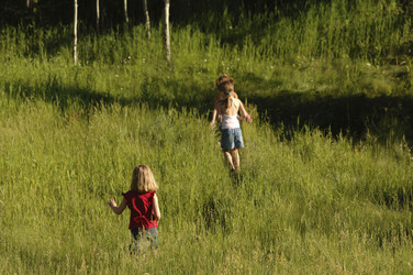 Similar image 7963837