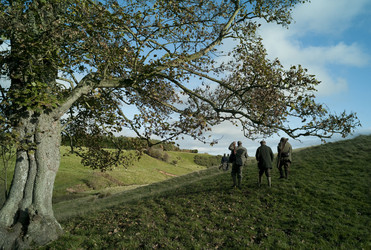 Similar image 7963855