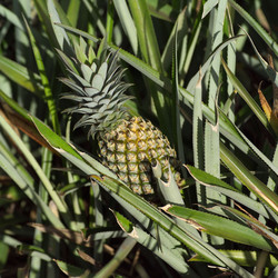 Similar image 7963870